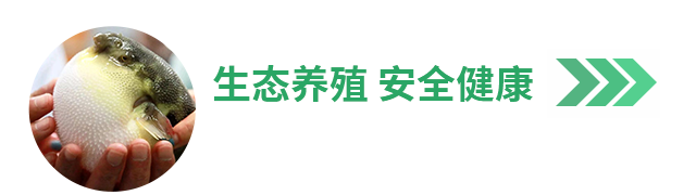 泰州丰汇农业科技有限公司