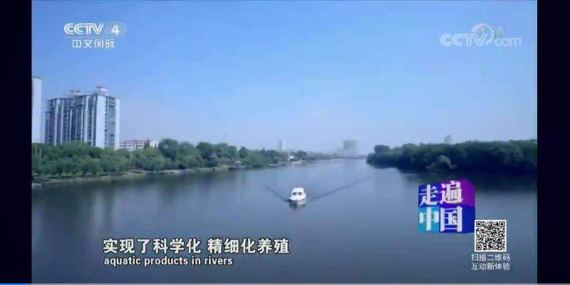 更多产品